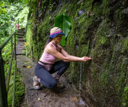 Natural History Walk La Fortuna Costa Rica